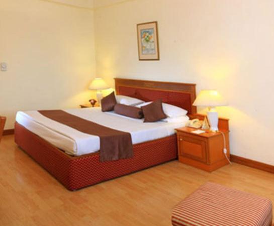 Hotel Hridey Inn New Delhi Rom bilde